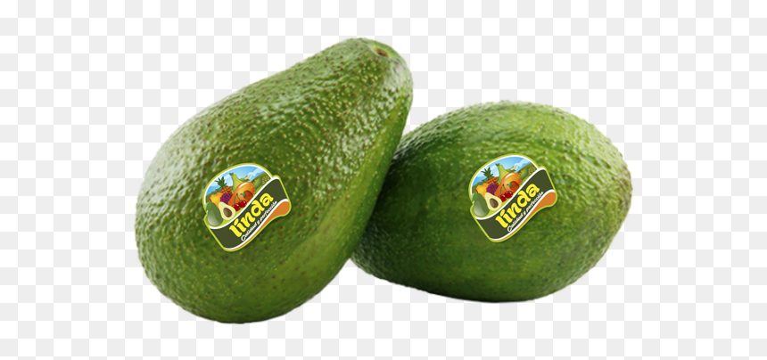 Avocado, HD Png Download - aguacate png