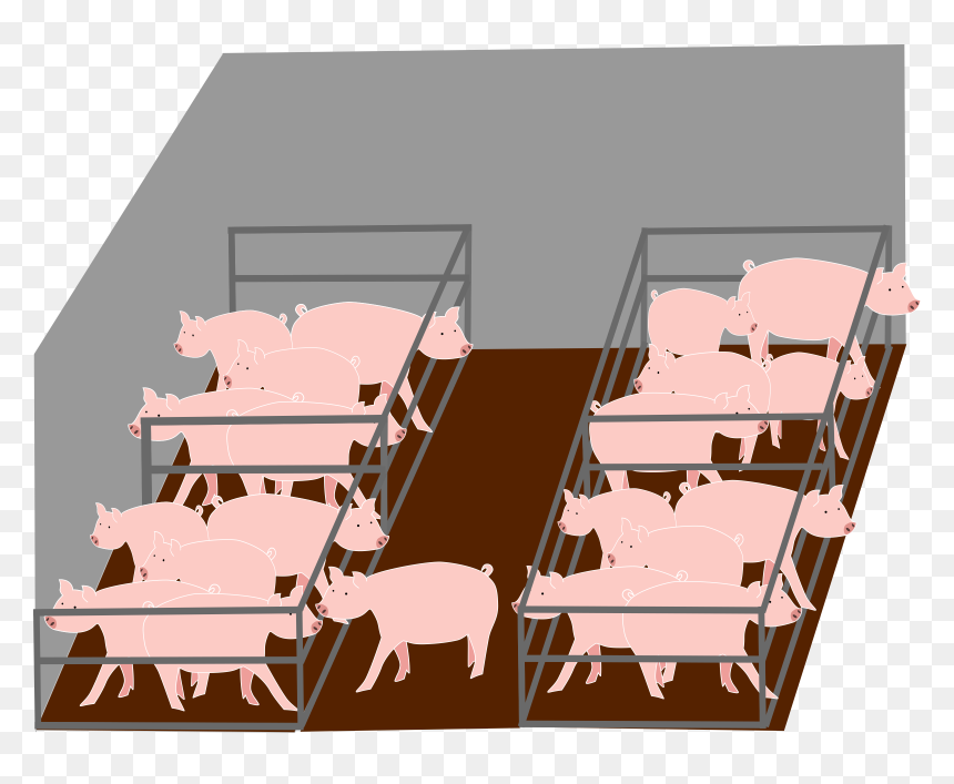 Inside Pigs Industrial Farm - Pig Farm Clip Art, HD Png Download - industrial png