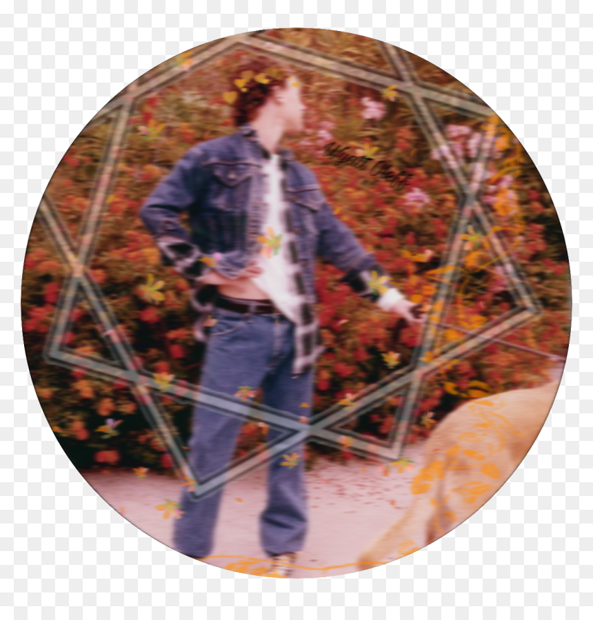 #wyattoleff #wyatt #edit #icon #png #it #itcast #cool - Wyatt Oleff Adidas, Transparent Png - cool icon png