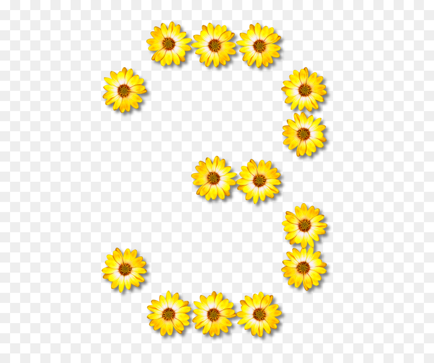 Sunflower Seed,chrysanths,flower - S Made Of Sunflowers, HD Png Download - sun flower png