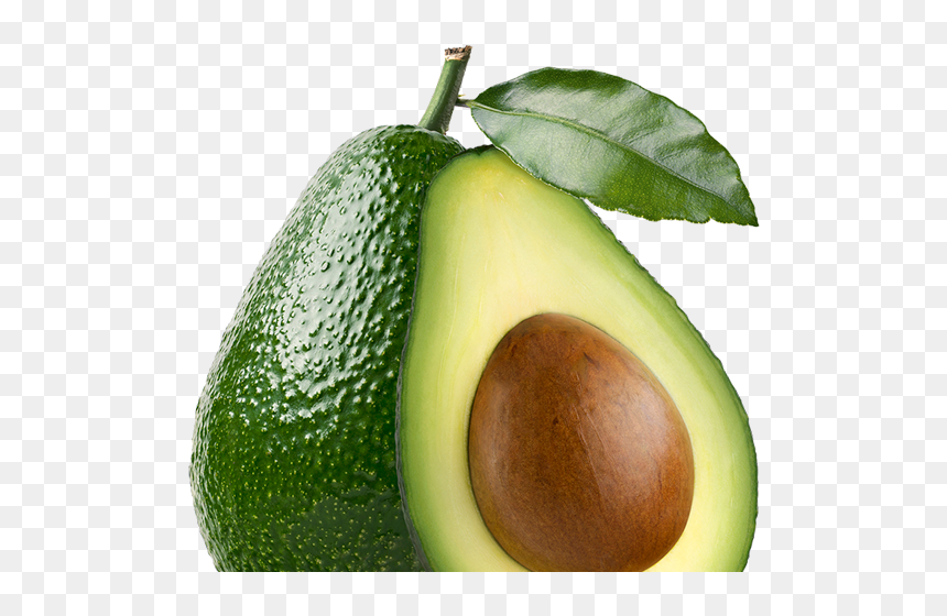 Avocado, HD Png Download - aguacate png