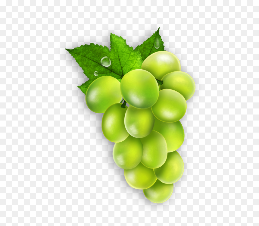 Transparent Fruit Seedless Fruit Grape Grapevine Family - Seedless Fruit, HD Png Download - grapevine png