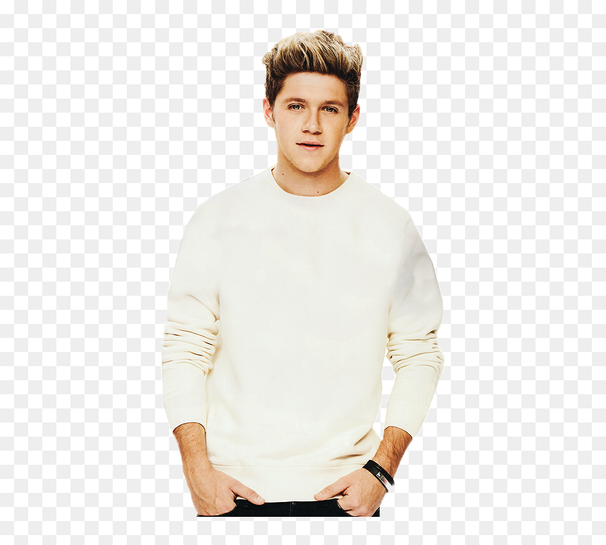 Thumb Image - Gentleman, HD Png Download - niall horan png