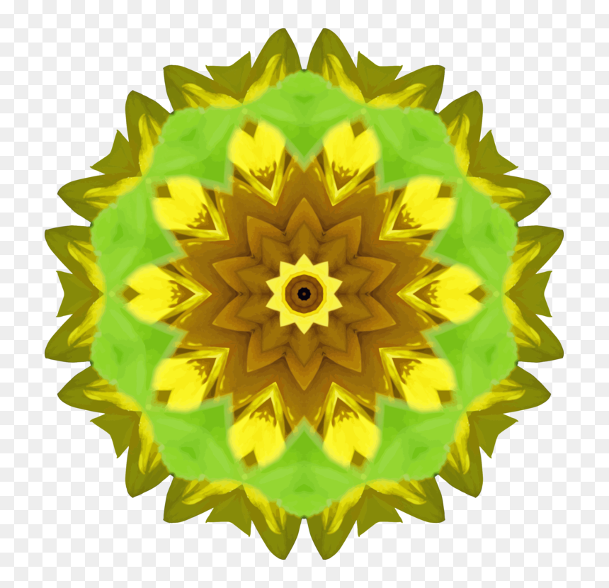 Sunflower Seed,plant,flower, HD Png Download - sun flower png