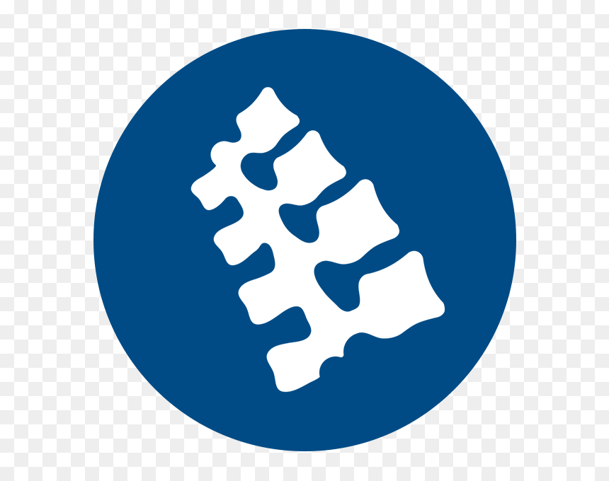Spinal Cord Injury, HD Png Download - spinal cord png