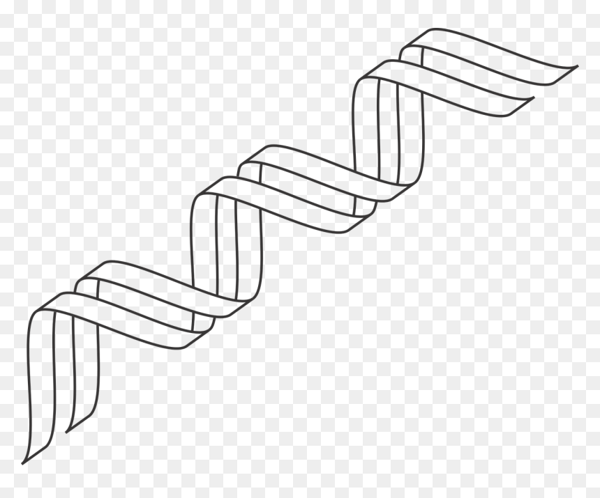 Gene Outline,dna,icon,dna Icon,double Helix,genetic,genetics - Double Helix Dna Outline, HD Png Download - dna icon png