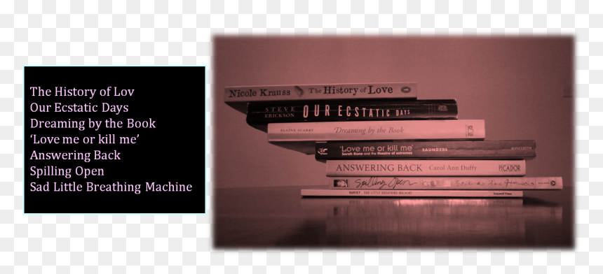 As Promised, Here Are My Own Poetic Book Spine Offerings - Novel, HD Png Download - book spine png