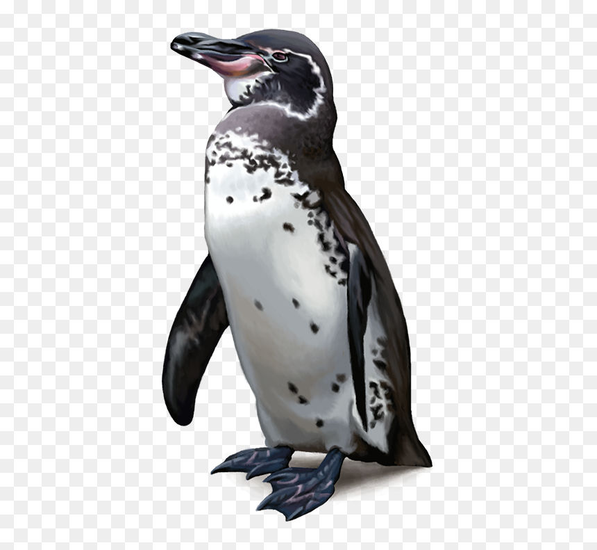 Emperor Penguin, HD Png Download - penguins png