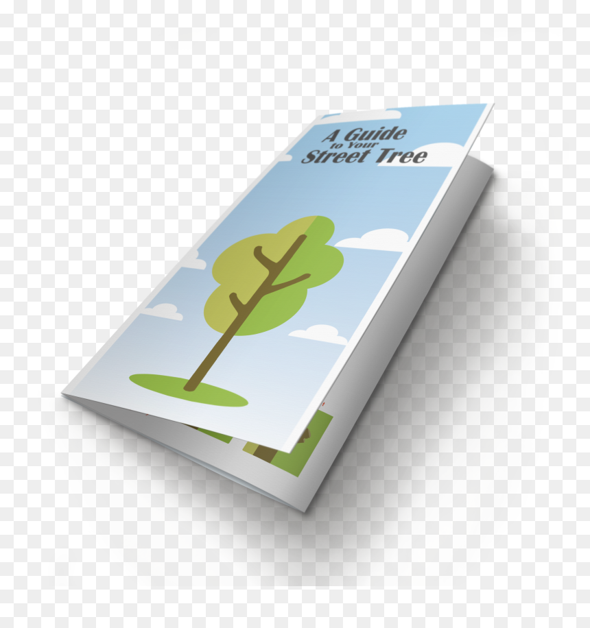 Transparent Street Tree Png - Trowel, Png Download - street tree png