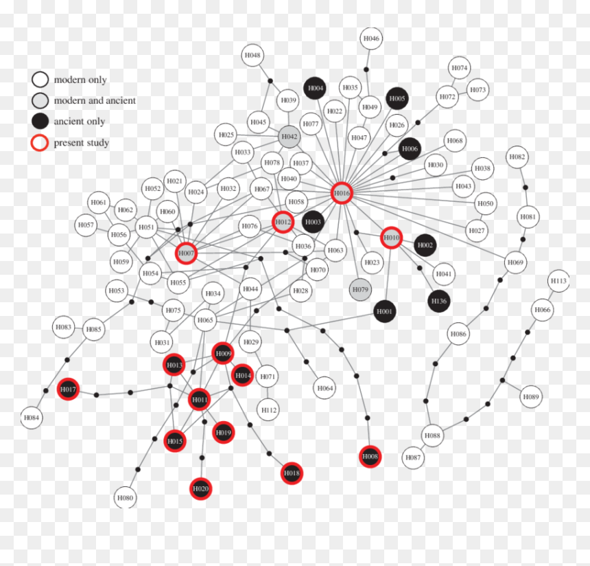Circle, HD Png Download - red circle outline png