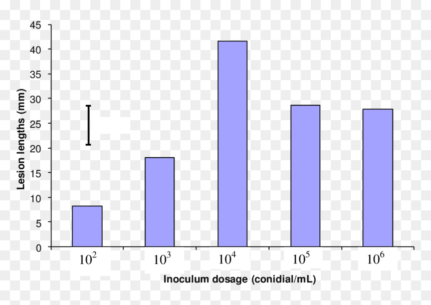 Diagram, HD Png Download - grapevine png
