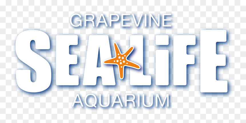 Sea Life London Aquarium, HD Png Download - sea life png