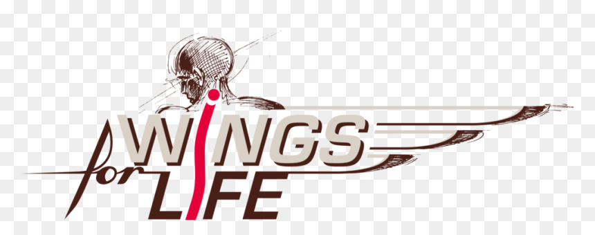 Spinal Cord Injury Ambassador, Co-chair Ambassador - Wings For Life Png, Transparent Png - spinal cord png