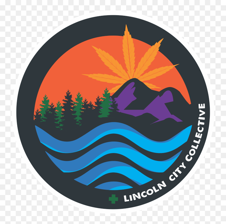 Lincoln City Collective - Christmas Tree, HD Png Download - street tree png
