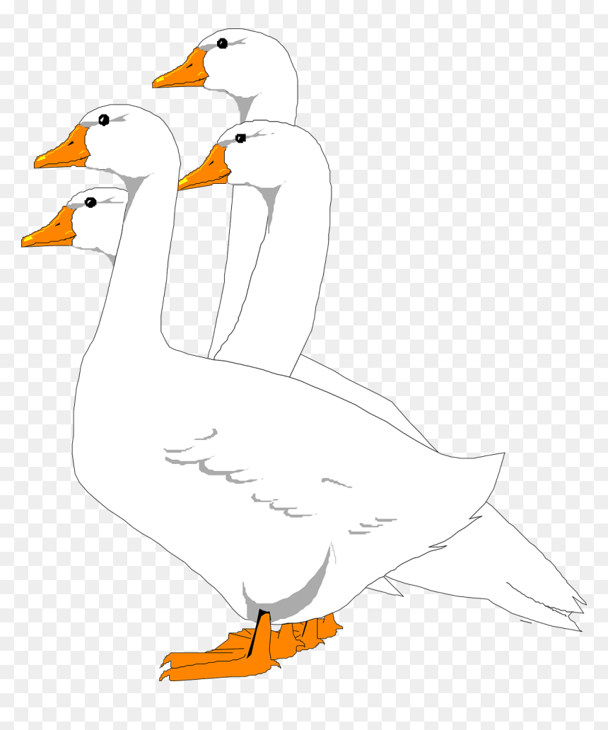 Geese Illustration, HD Png Download - geese png