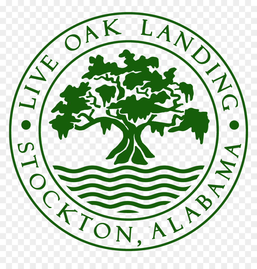 Circle, HD Png Download - live oak png