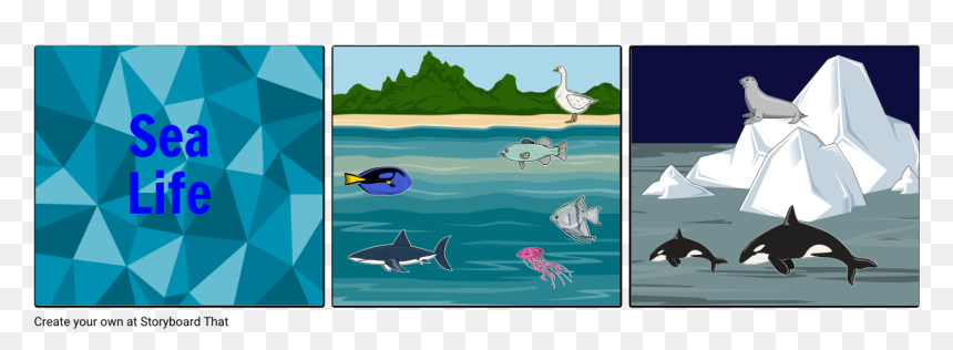 Great White Shark, HD Png Download - sea life png