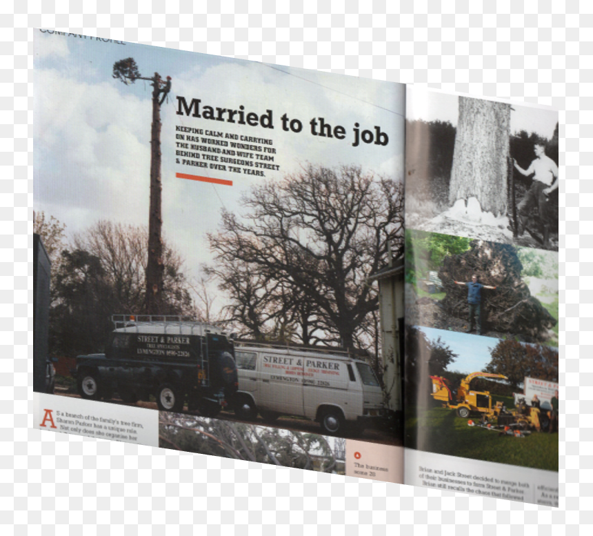 Billboard, HD Png Download - street tree png