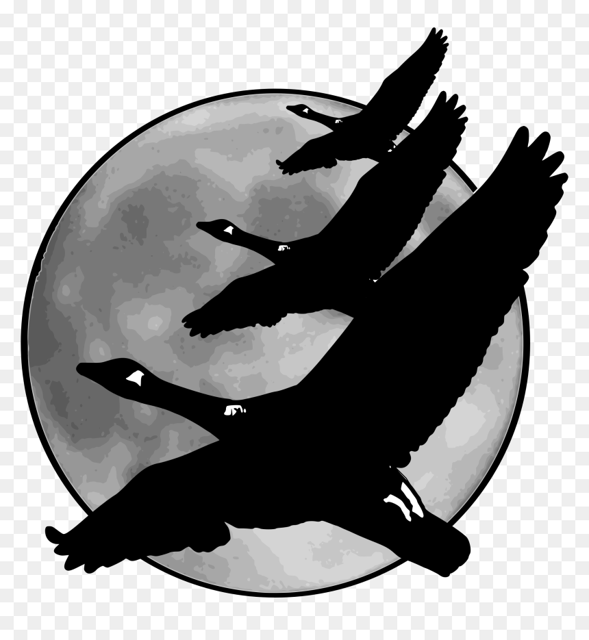 Geese In Front Of Moon Clip Arts - Black And White Clip Art Of Geese Flying, HD Png Download - geese png