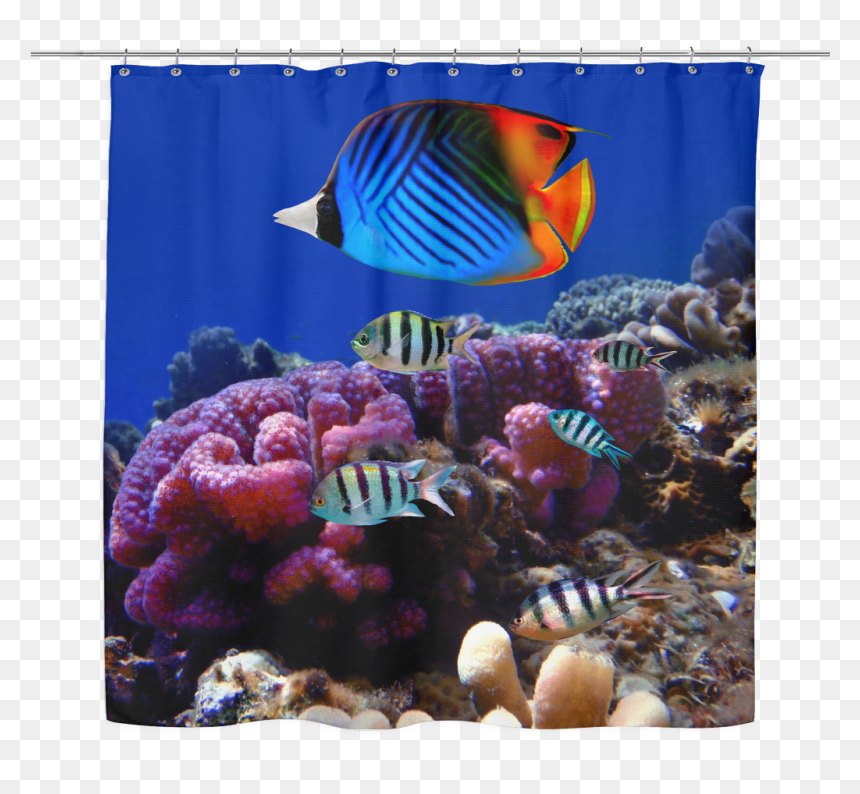 Sea Life 03 Tropical Fish Shower Curtain - Marine Life In Andaman And Nicobar Islands, HD Png Download - sea life png