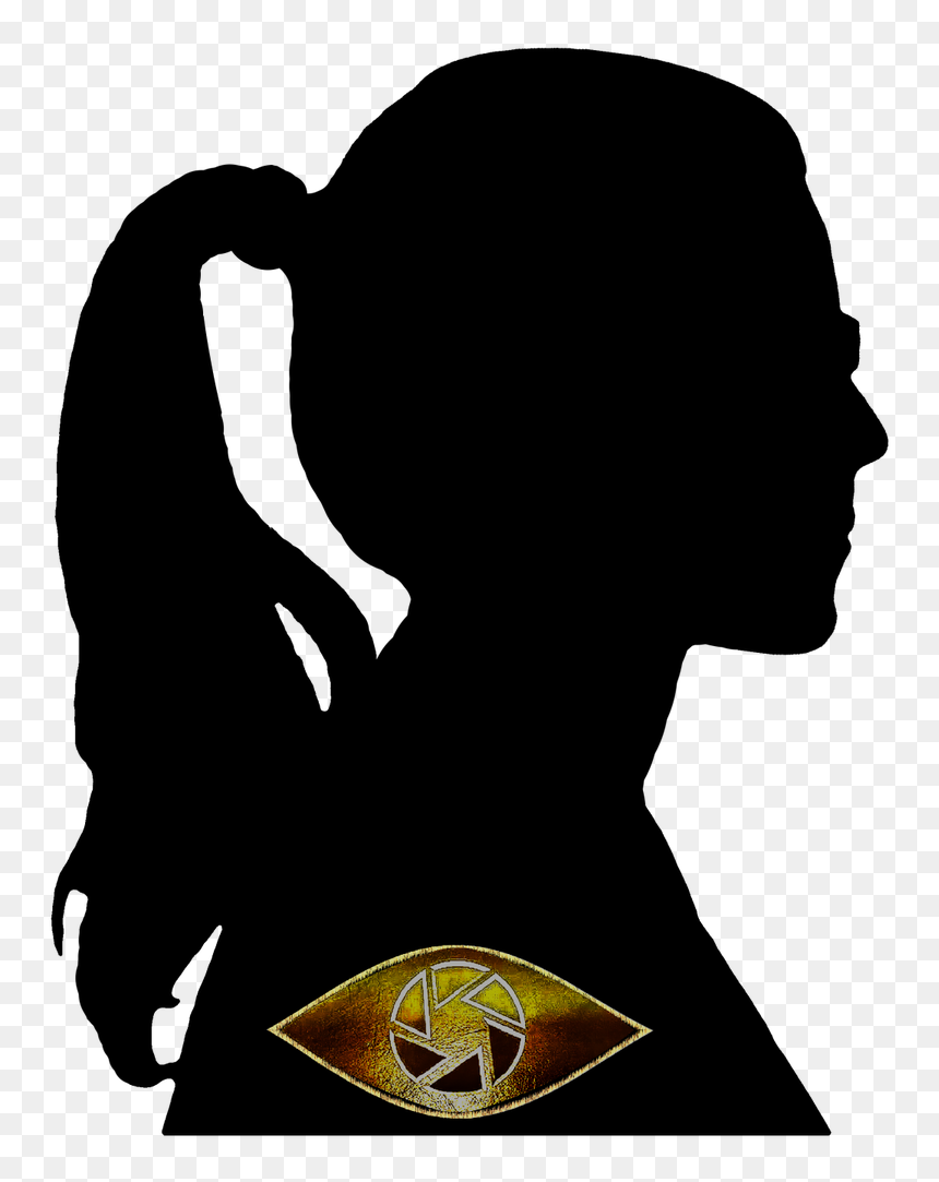 Fanart Silhouettes In Honor Of Felicity"s Beautiful - Silhouette, HD Png Download - bush silhouette png