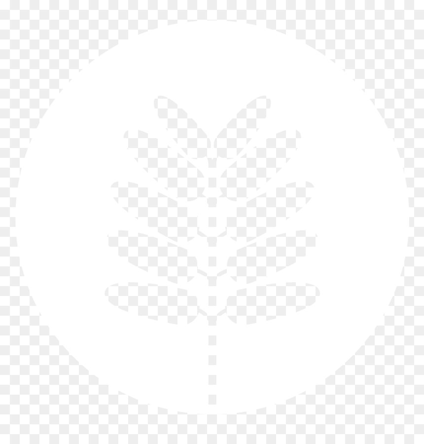 Circle, HD Png Download - tamarindo png
