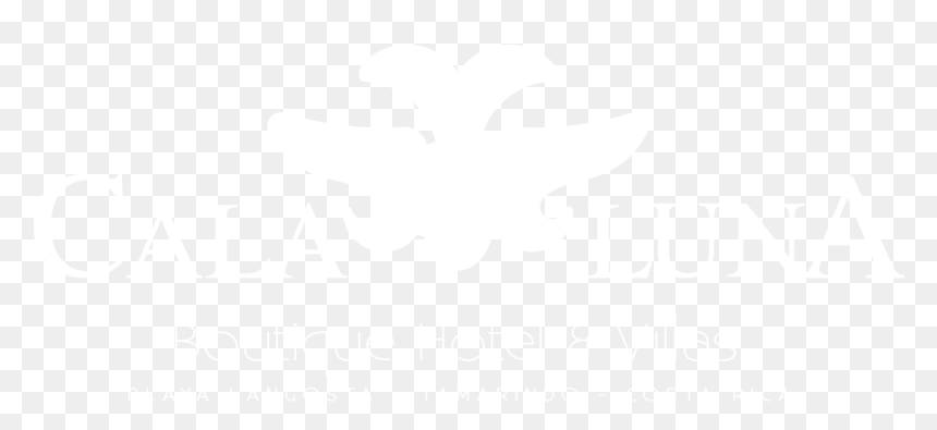 Johns Hopkins Logo White, HD Png Download - tamarindo png