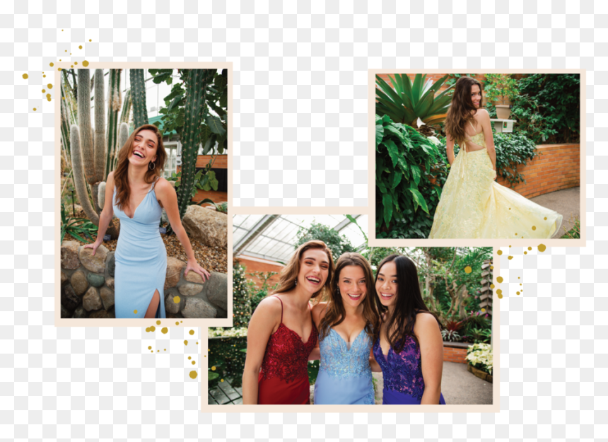 Dressed Up By Bella Mia, Dressed Up, Formal Wear, Michigan - Photograph, HD Png Download - prom dress png
