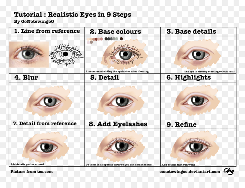 Drawing Eyes Realistic - Cartoon Realistic Eyes, HD Png Download - eyelashes clipart png