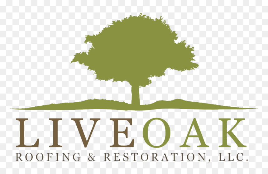 Logo - Oak, HD Png Download - live oak png