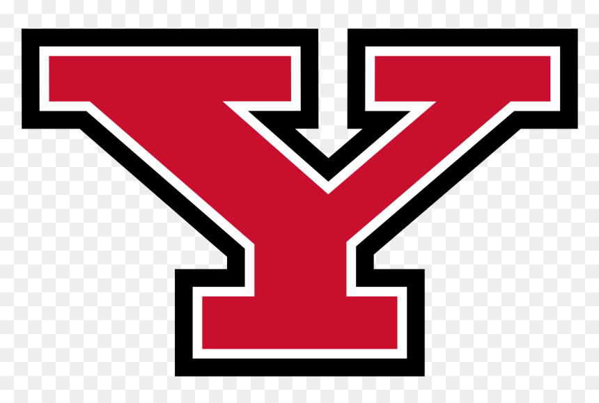Youngstown State Football Logo, HD Png Download - penguins logo png