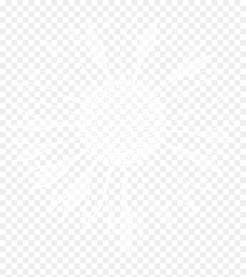 Los Girasoles Ranch - T-shirt, HD Png Download - girasoles png