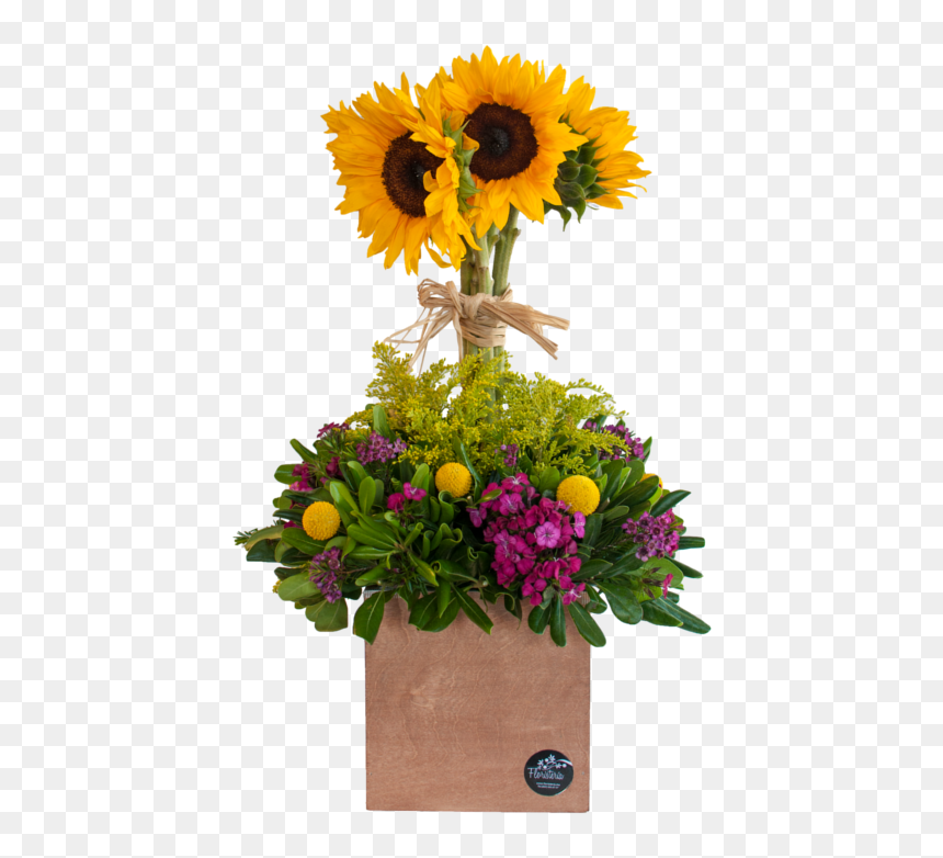 Árbol De Girasoles - Sunflower, HD Png Download - girasoles png