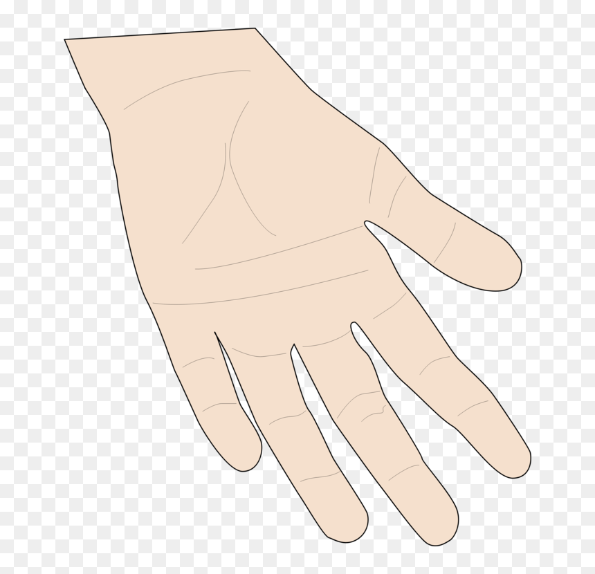 Angle,thumb,organ - Hand Skin Clipart, HD Png Download - hand palm png