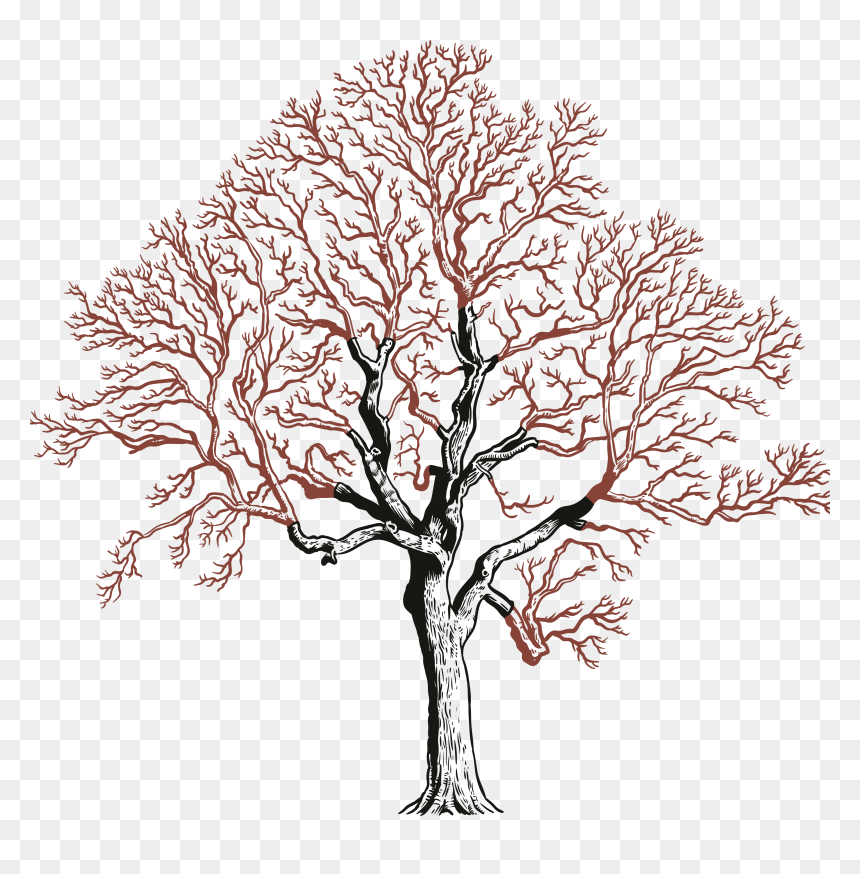 Creative Arts, HD Png Download - street tree png