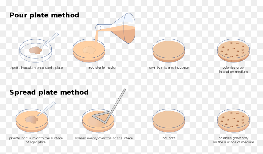 Diagram, HD Png Download - plate of cookies png