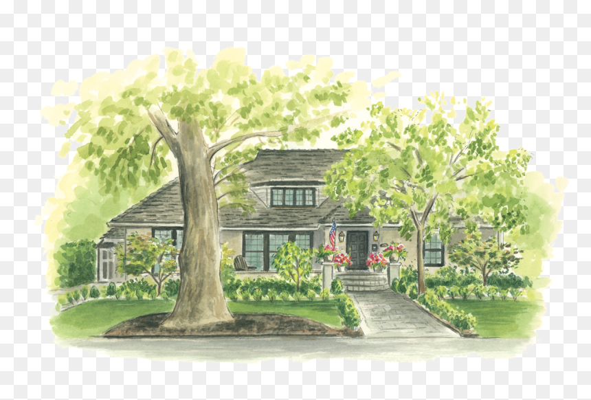 Home2 1121 44th Street - Tree, HD Png Download - street tree png