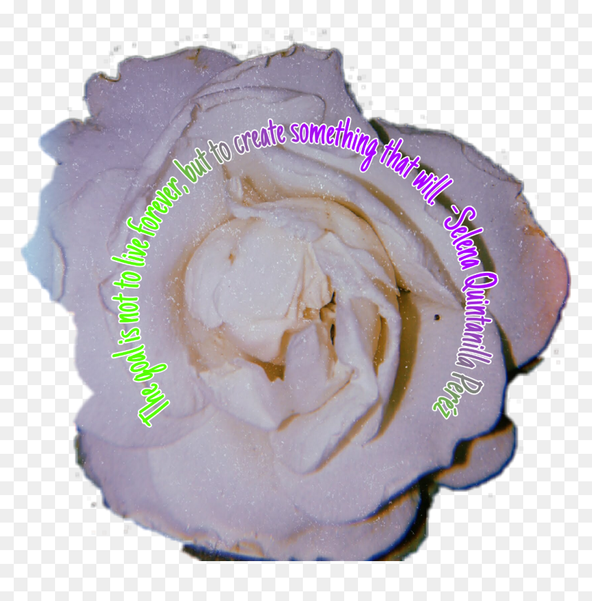 Picsart Stickerchallenge Selenaquintanilla , Png Download - Vegetable, Transparent Png - selena quintanilla png