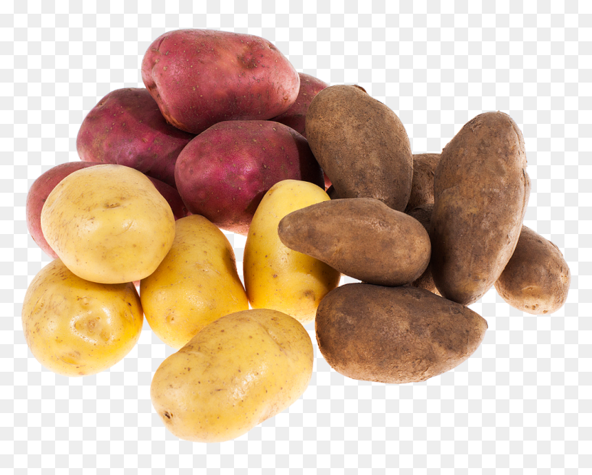 Potato Salad - Potato, HD Png Download - potato salad png