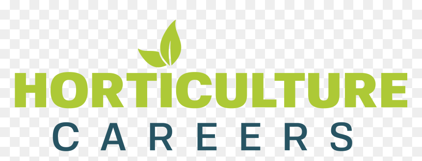 Find The Perfect Job, Doing What You Love - Graphic Design, HD Png Download - street tree png