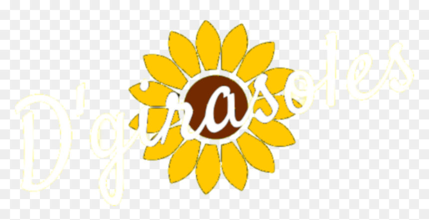 Transparent Girasoles Png - Harley Davidson 4 Speed Transmission Throw Out Bearing, Png Download - girasoles png