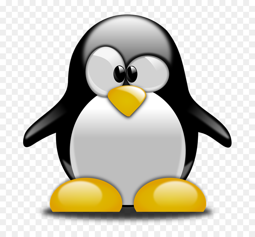 Cartoon Penguin Tux, HD Png Download - penguins logo png