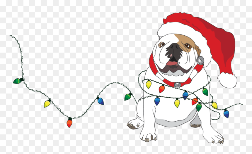 Santa - Illustration, HD Png Download - dog snapchat filter png