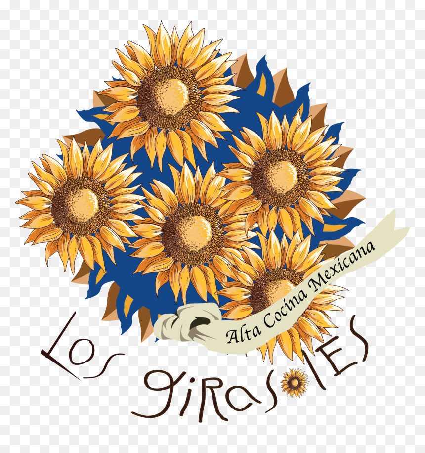 African Daisy , Png Download - Sunflower, Transparent Png - girasoles png