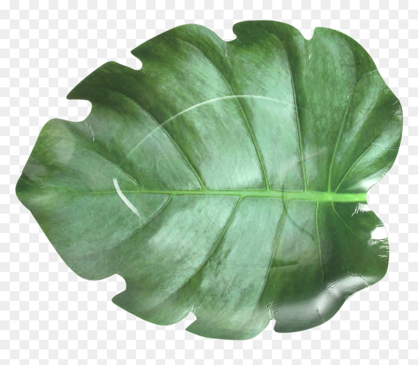 Paper Plate Leaf Shape Set/10, HD Png Download - paper plate png