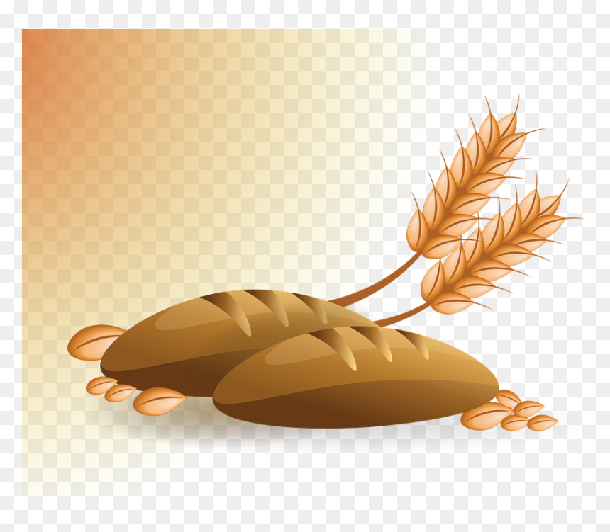انتاج القمح في العالم, HD Png Download - wheat vector png
