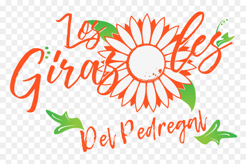 Logotipo De Los Girasoles - Sunflower Clipart Black And White, HD Png Download - girasoles png