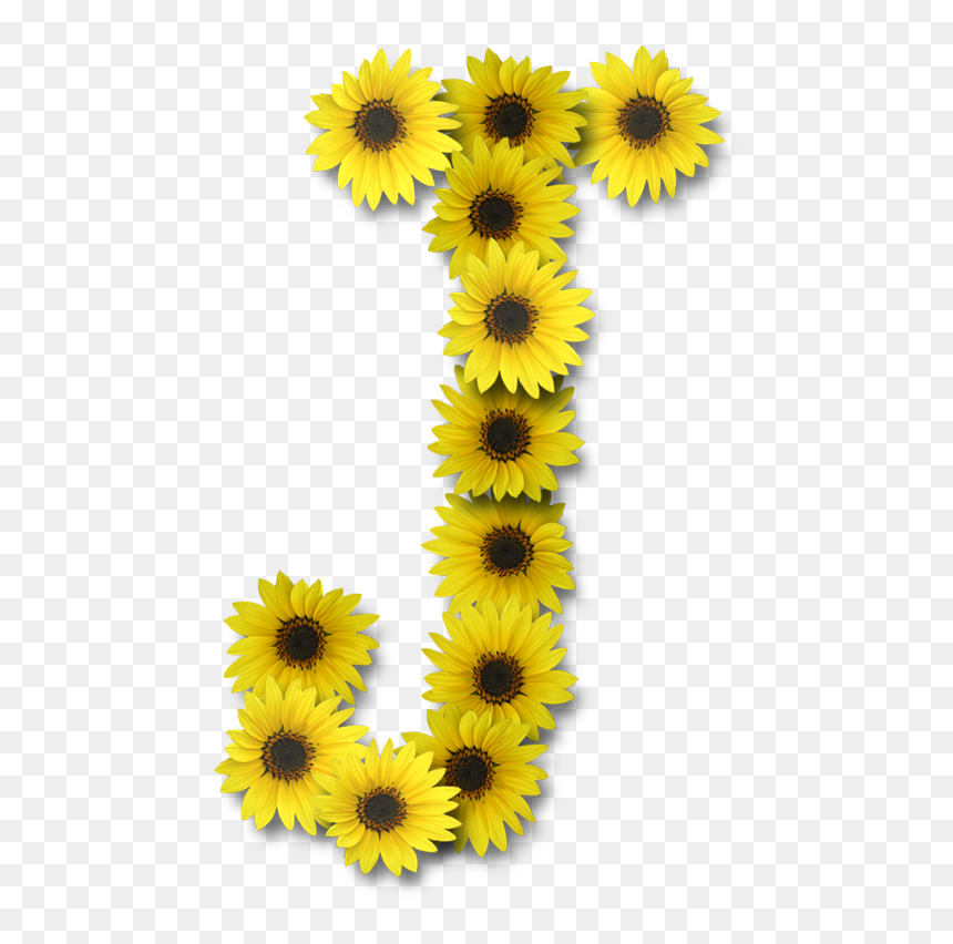 Letter J Design, HD Png Download - girasoles png