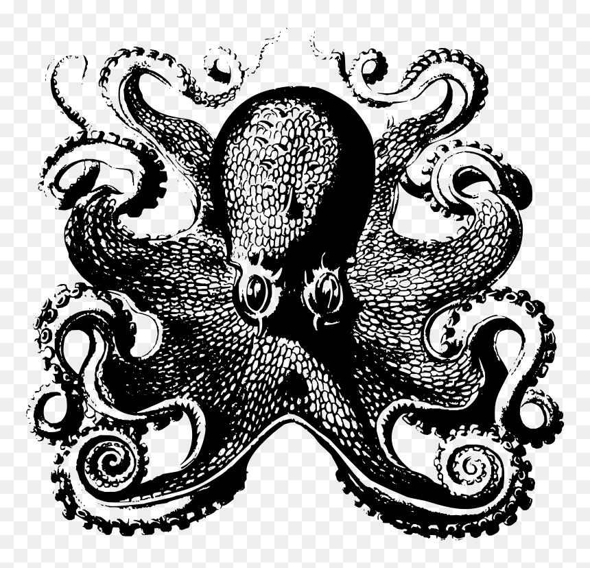 Octopus Front , Png Download - Victorian Octopus, Transparent Png - octopus tentacles png