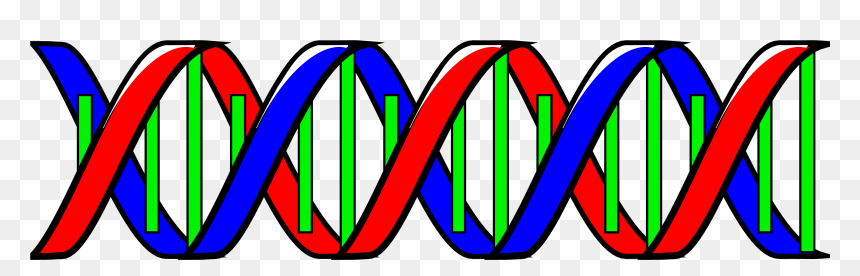 Dna Double Helix Clip Art, HD Png Download - double helix png